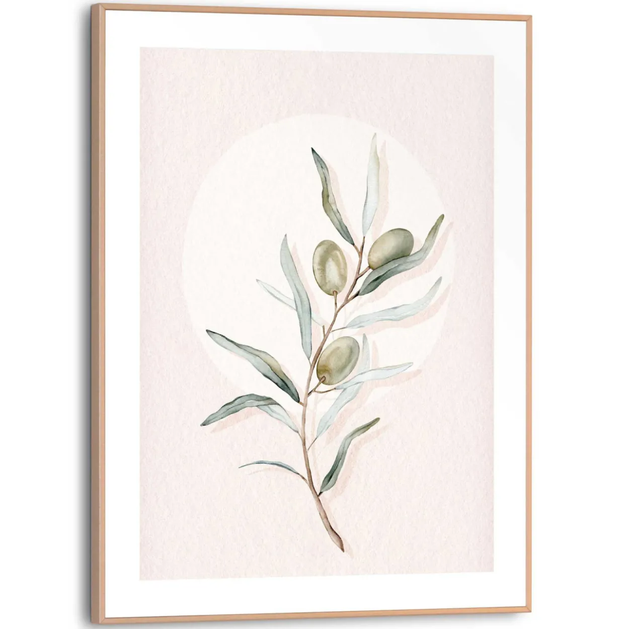 Bild CIRCLE OLIVES