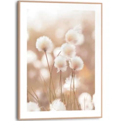 Bild COTTON POPS