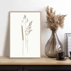 Bild DRIED FLOWERS
