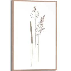 Bild DRIED FLOWERS