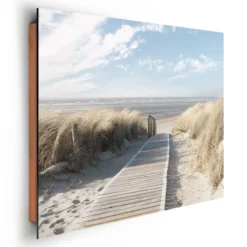 Bild DUNES