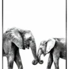 Bild ELEPHANT LOVE