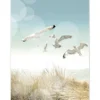 Bilderhalter CLIP 40x50 cm
