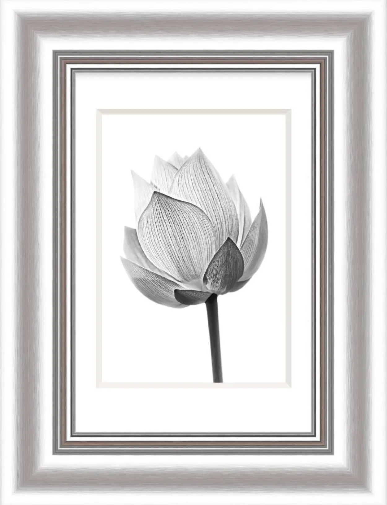 Bilderrahmen ELEGANCE silber