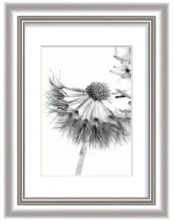 Bilderrahmen ELEGANCE silber
