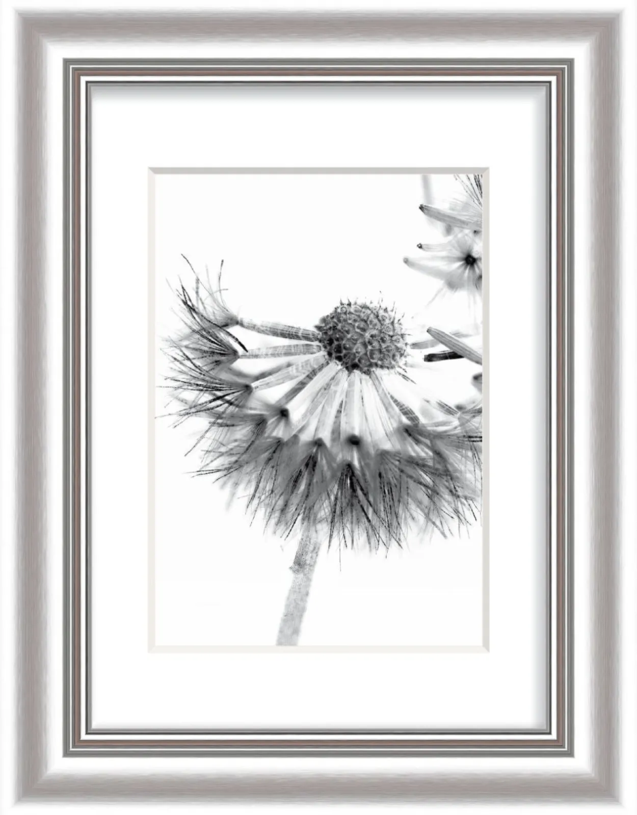 Bilderrahmen ELEGANCE silber