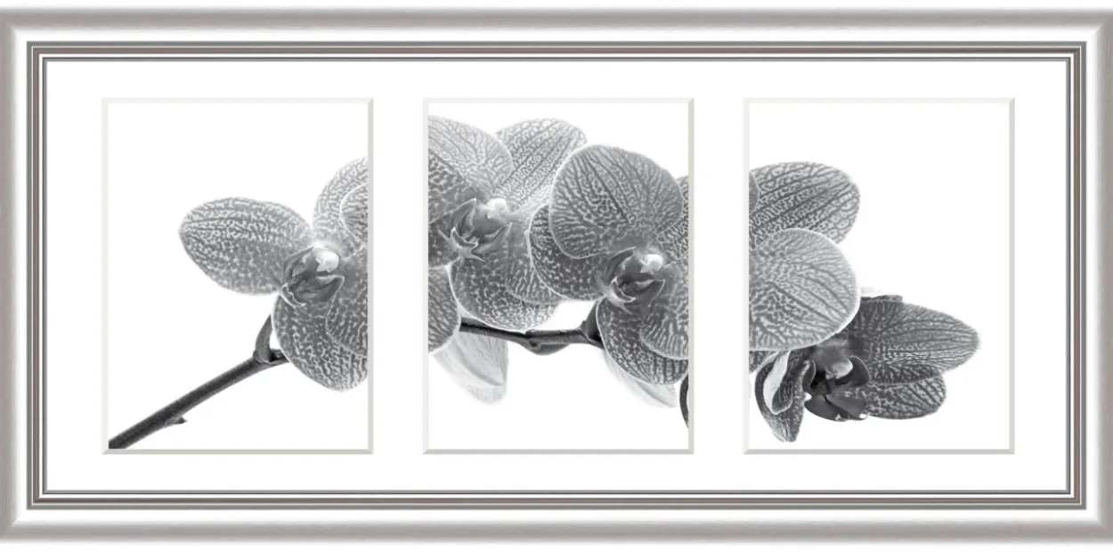 Bilderrahmen ELEGANCE silber