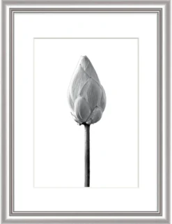 Bilderrahmen ELEGANCE silber