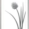 Bilderrahmen ELEGANCE silber