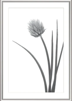 Bilderrahmen ELEGANCE silber