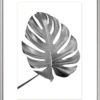 Bilderrahmen ELEGANCE silber