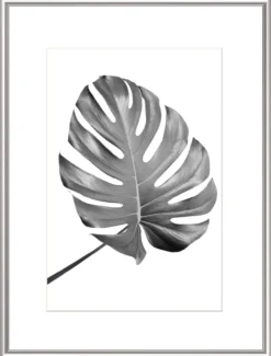 Bilderrahmen ELEGANCE silber