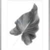 Bilderrahmen ELEGANCE silber