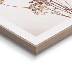 Bilder-Set BOTANIC NATURAL
