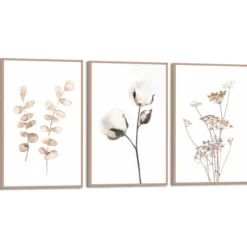 Bilder-Set BOTANIC NATURAL