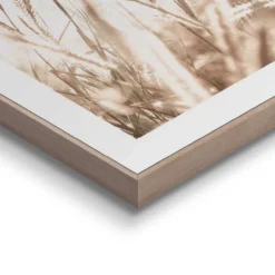 Bilder-Set BOTANIC NATURAL