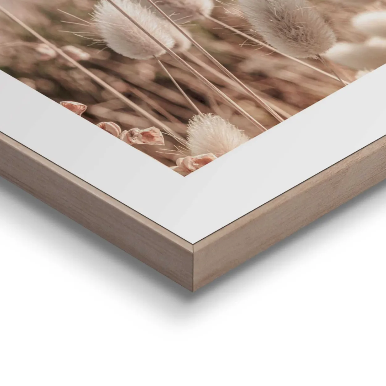 Bilder-Set NATURE