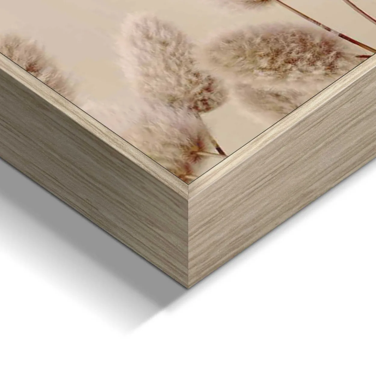 Bild FLORAL HIGHLANDER