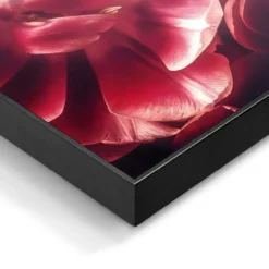 Bild FLORAL TIGER