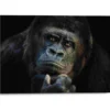 Bild GORILLA