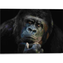 Bild GORILLA