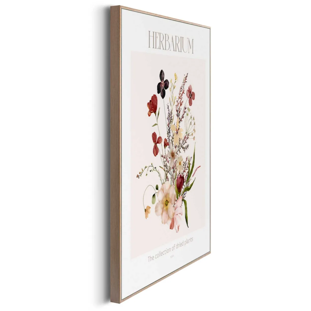 Bild HERBARIUM