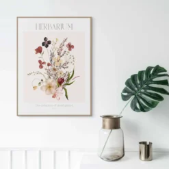 Bild HERBARIUM