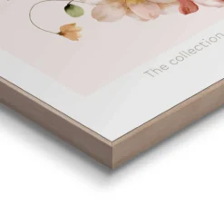 Bild HERBARIUM