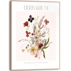 Bild HERBARIUM