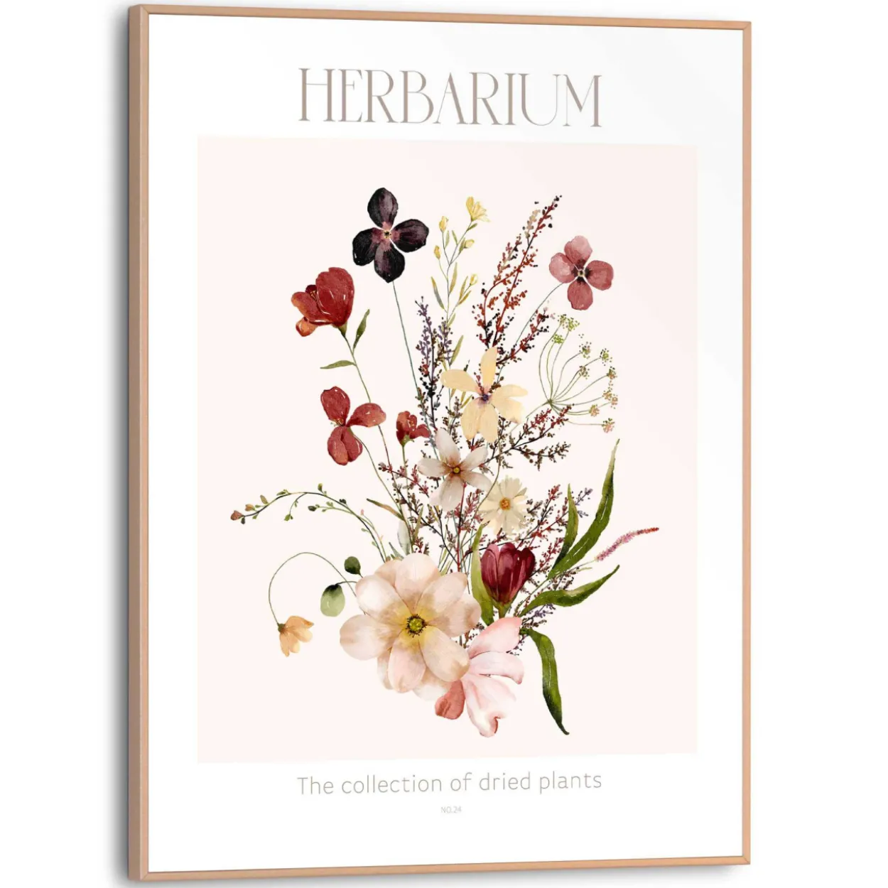 Bild HERBARIUM