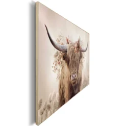 Bild HIGHLANDER
