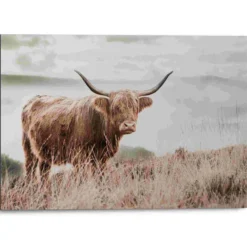 Bild HIGHLANDER