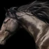 Bild HORSE POWER S