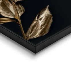Bild LITTLE LEAFS