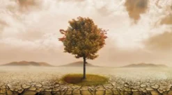 Bild MYSTIC TREE