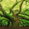 Bild OLD OAK