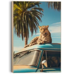 Bild OLDTIMER SAFARI