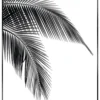Bild PALM LEAF