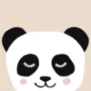 Bild PANDA