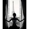 Bild PARIS BALCONY