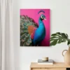 Bild PINK PEACOCK
