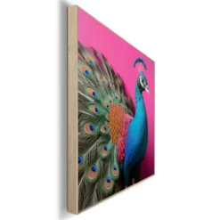 Bild PINK PEACOCK