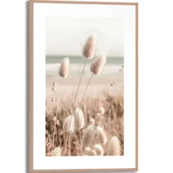 Bild ROMANTIC GRASSES