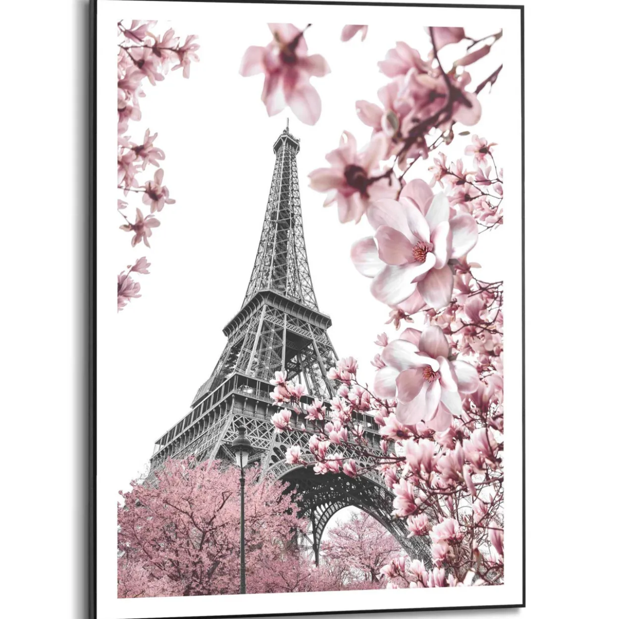 Bild SPRING IN PARIS