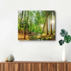 Bild SPRING WOODS