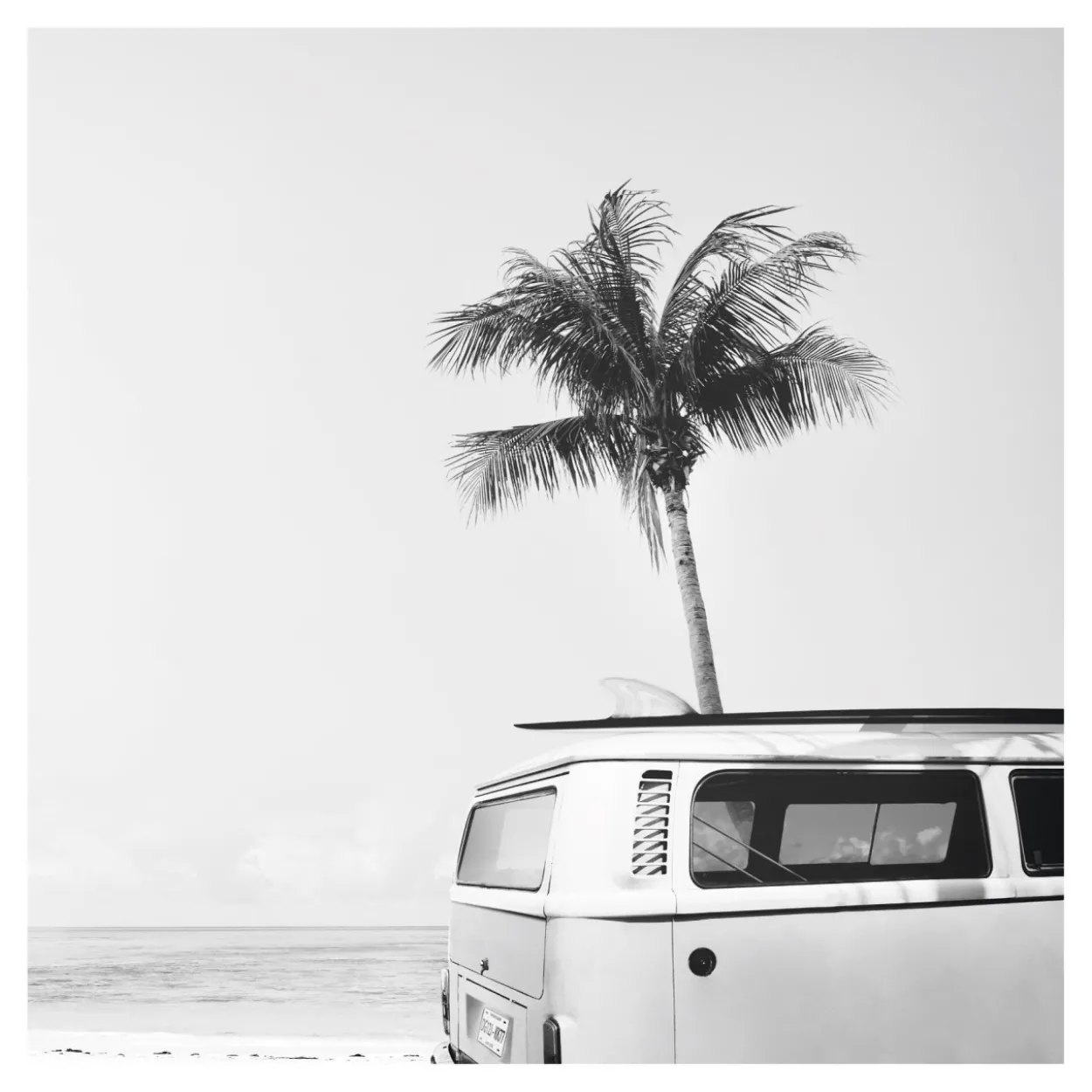Bild SUMMER VIBE