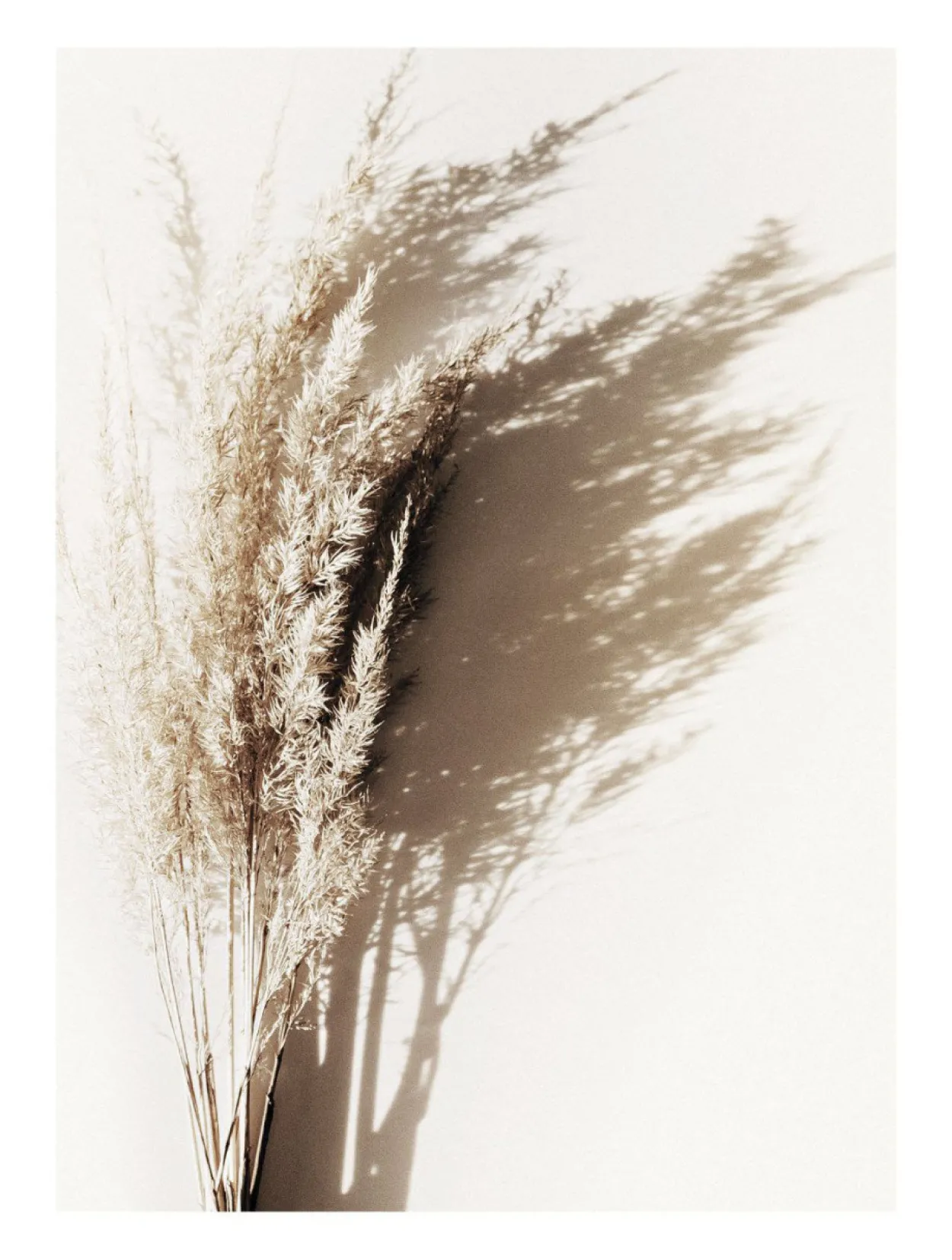 Bild SUNNY GRASS BOUQUET