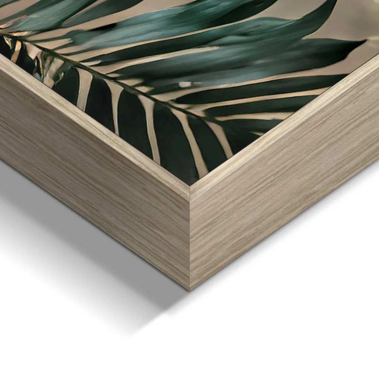 Bild TROPICAL LOVE