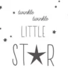 Bild TWINKLE