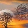 Bild VOGELSCHWARM & MOND